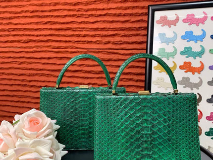 Genuine Python Leather Top Handle Bag-1
