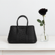 Genuine Ostrich Skin Leather Small Tote Bag