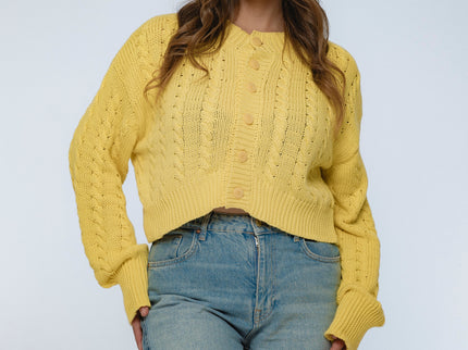 Parisse Cropped Knitted Cardigan-2