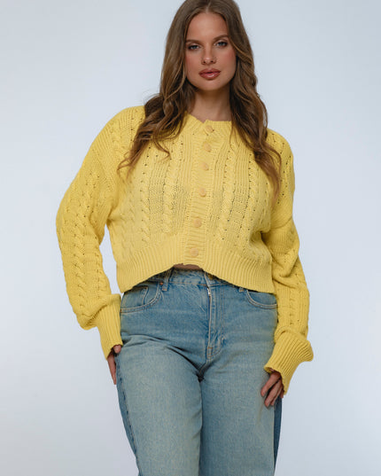 Parisse Cropped Knitted Cardigan-2