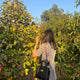 Mini Demi Tote Bag in Black