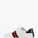 Ace leather sneakers