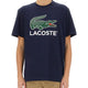 COTTON T-SHIRT WITH PRINT