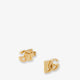 DG brass earrings