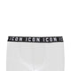 "ICON" BOXERS