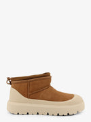 CHESTNUT / WHITECAP / 8