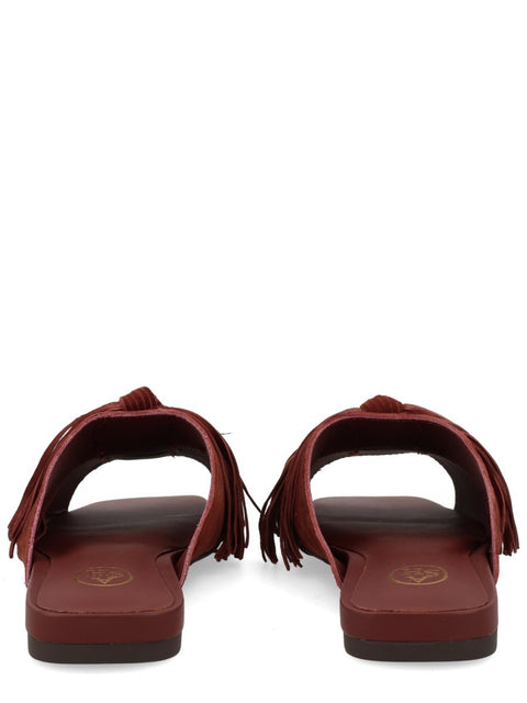 Ash Mule Brigitte – Damen Ledermule Braun SS26