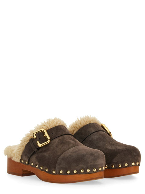 MULE "JEANNETTE"