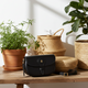 BALLY "BECKHETT" BAG black