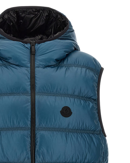 'Panestrel' vest