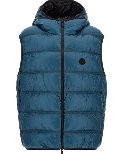 'Panestrel' vest