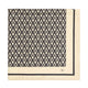 PRINTED SILK SCARF