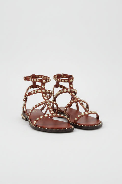 Ash Gladiator-Sandalen