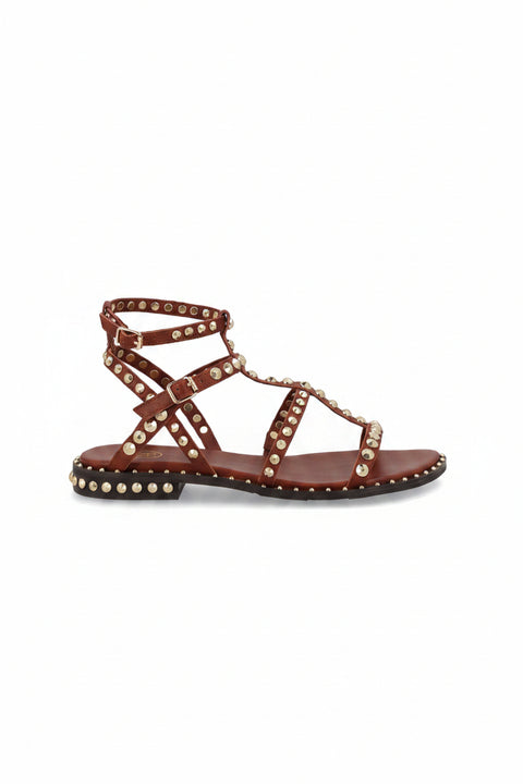 Ash Gladiator-Sandalen