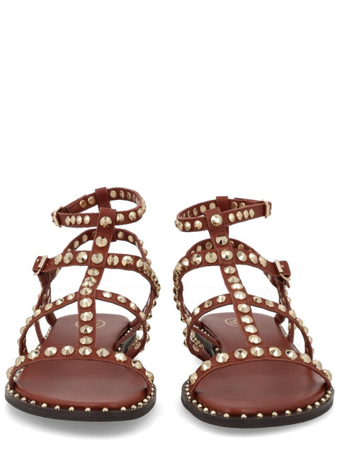 Ash Gladiator-Sandalen
