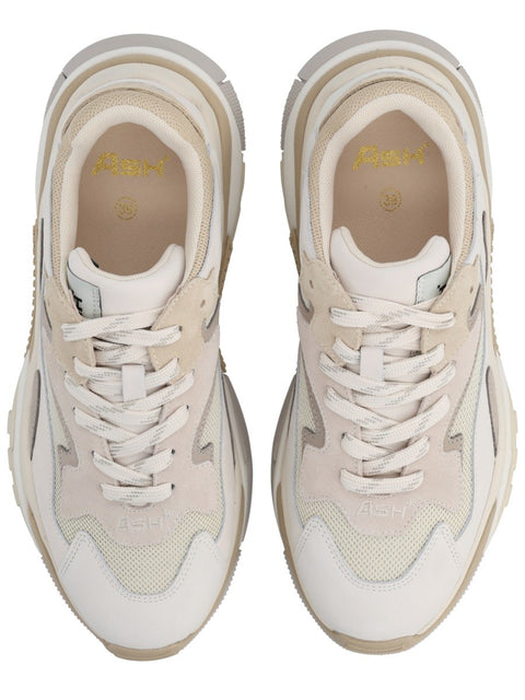 SNEAKER "ADDICT"