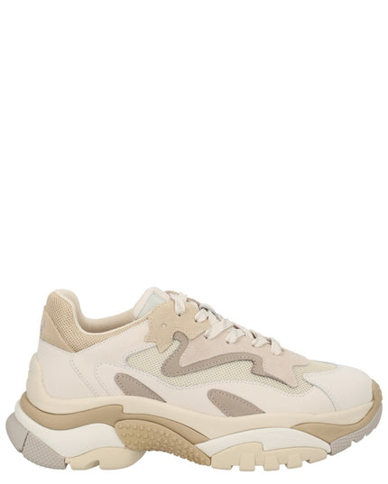 SNEAKER "ADDICT"